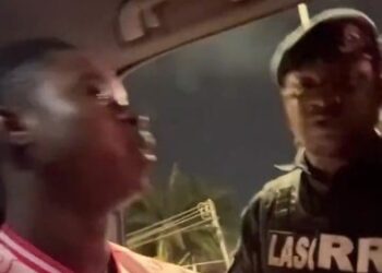 TikToker Peller Alleges Assault by Police