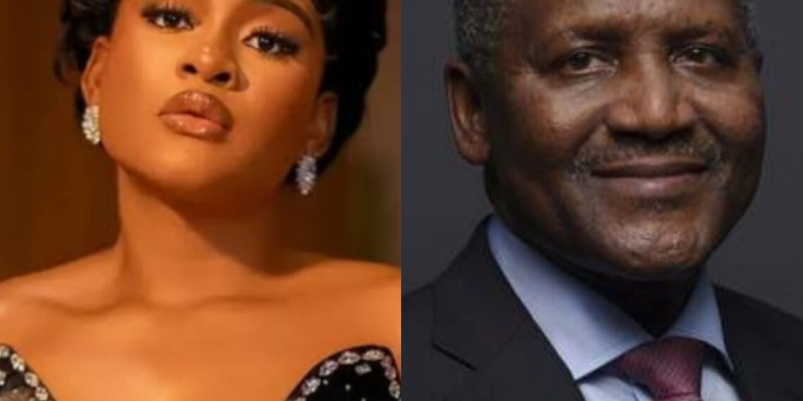 BBNaija’s Phyna Slams Dangote Group Over Sister’s Accident